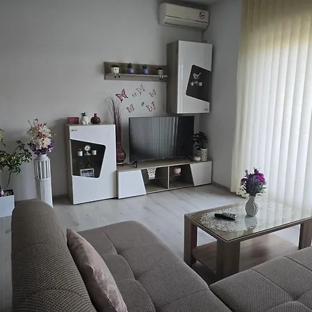 Appartement Apartmens Leona *